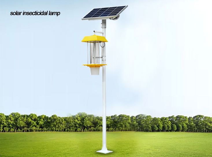 Solar insecticidal lamps.jpg